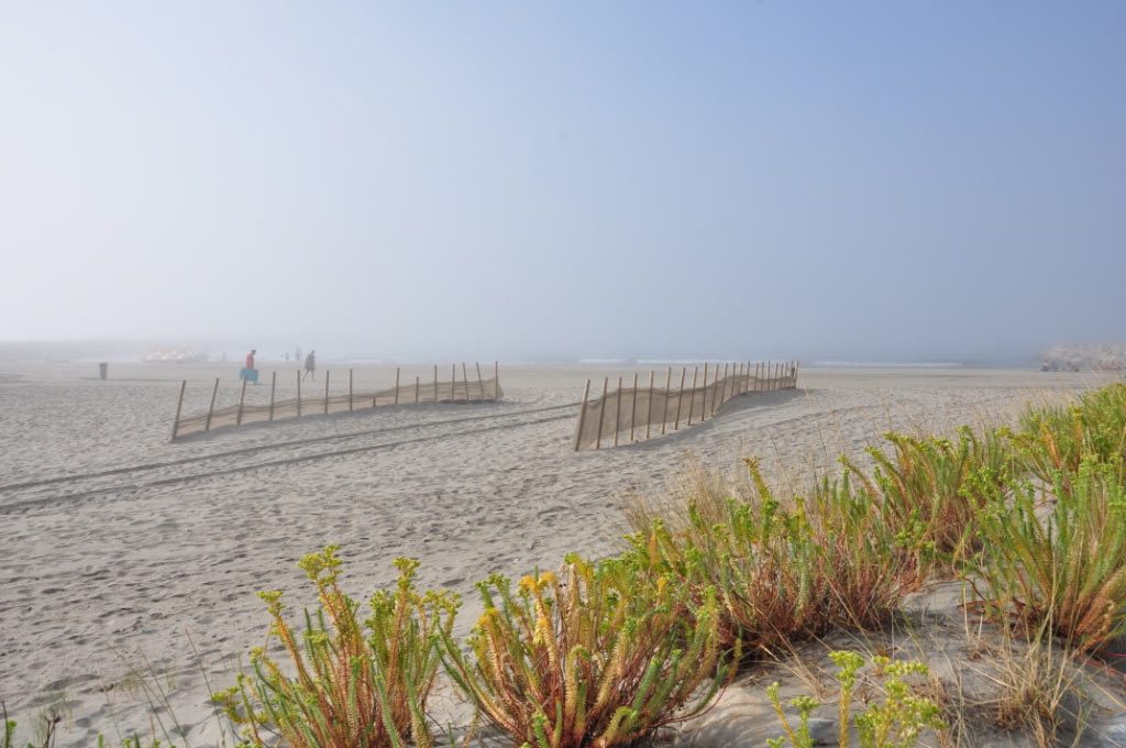 France, Provence, Camargue, Saintes Maries de la Mer